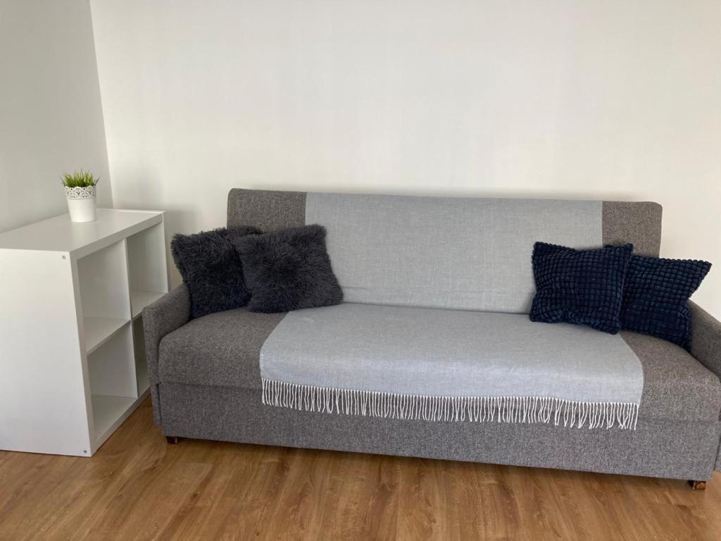 Nameja Best View Apartamenti Jēkabpils Buitenkant foto